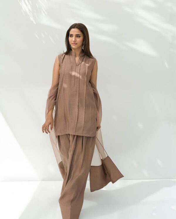 WDR-118_3 SOHA SILK FARSHI SHALWAR | R-118
